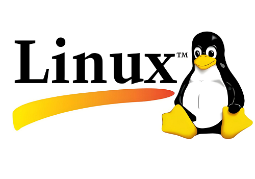 Linux 計(jì)算機(jī)硬件開發(fā)的核心本質(zhì)