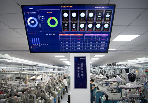 浙江諸暨 以計(jì)算機(jī)硬件開發(fā)開拓創(chuàng)新，驅(qū)動襪業(yè)新增長